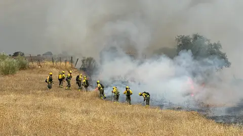 Bomberos trabajando en la extinción del incendio de Tres Cantos 