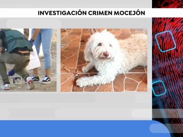 Novedades crimen Mocejón