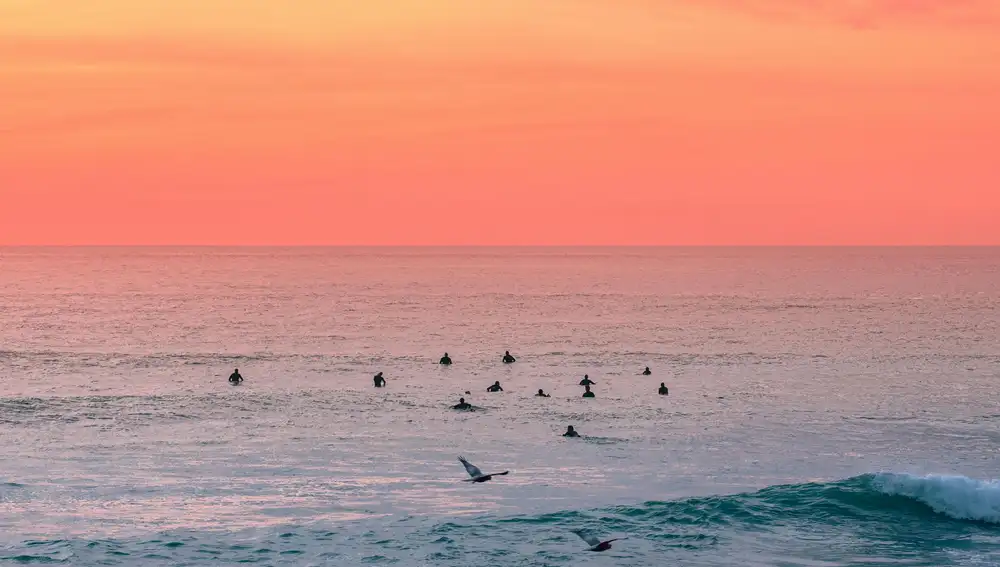 Personas nadando en la playa al aterdecer